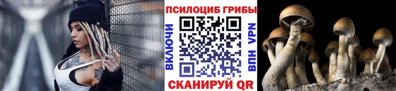blacksprut tor  цены   Лукоянов  Псилоцибиновые грибы Psilocybe 
